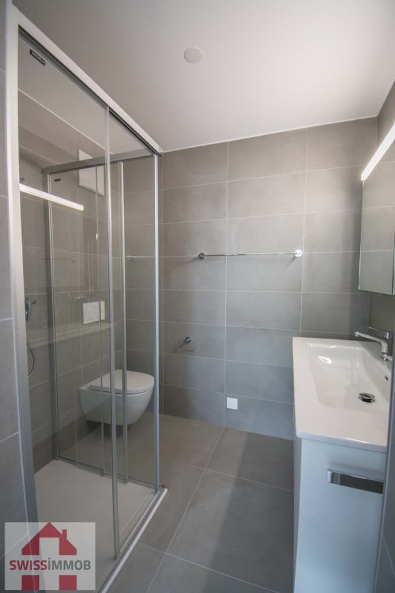 Magnifique appartement dans immeuble neuf ! (7)