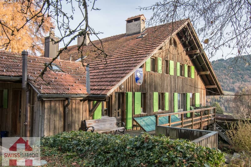 Ancienne ferme dans un écrin de verdure ! (8)