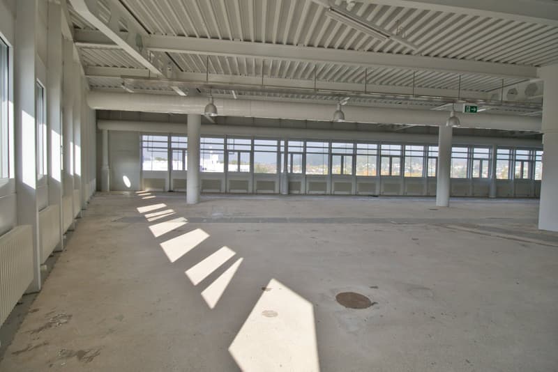 large open space with white pillars, windows and radiators, ceiling lights