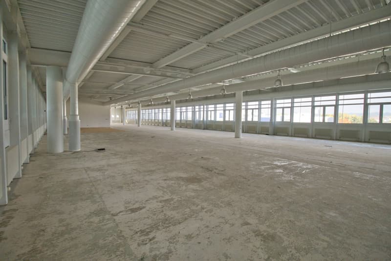 large, empty warehouse with concrete floor, white ceiling, white pipes, and glass windows