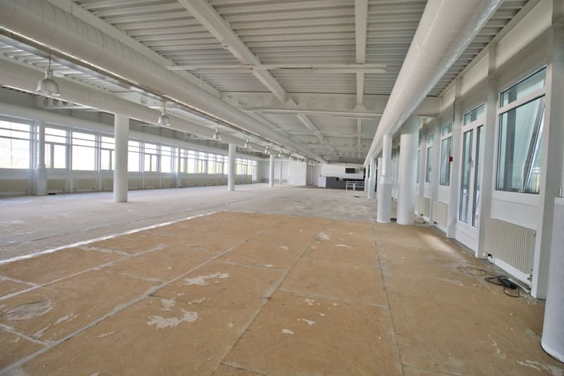 Open room, metal ceiling, large windows, tile flooring, radiators