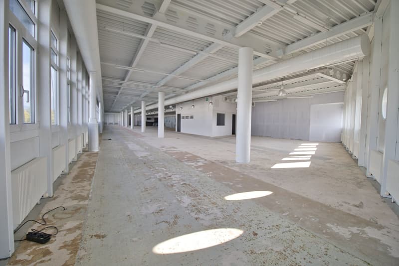 large, rectangular, empty room with high ceiling, rows of windows, large white pillars, lights on ceiling, concrete floor, vents on side walls