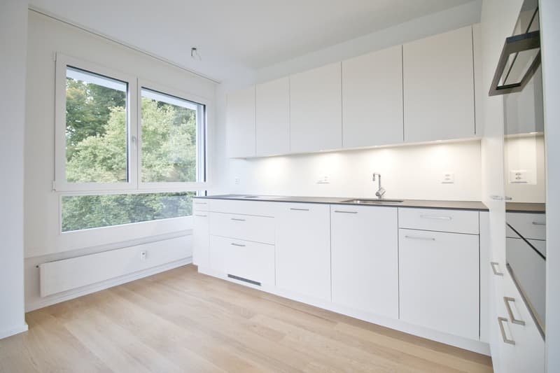 3½ - Zimmerwohnung mit grossem Balkon im beliebten Steinhölzli / Lerbermattquartier (2)