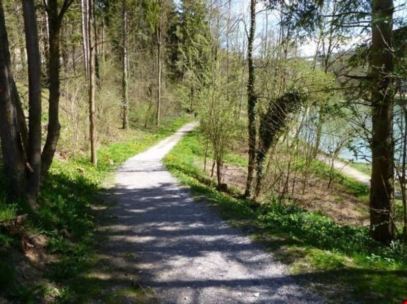 Wohnen im Grünen - Nähe Aare! (10)