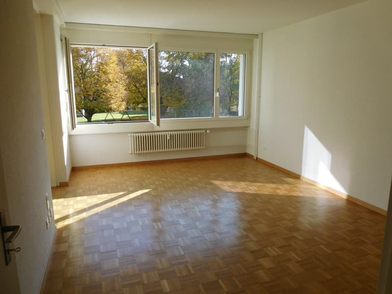 Wohnen im Grünen - Nähe Aare! (3)