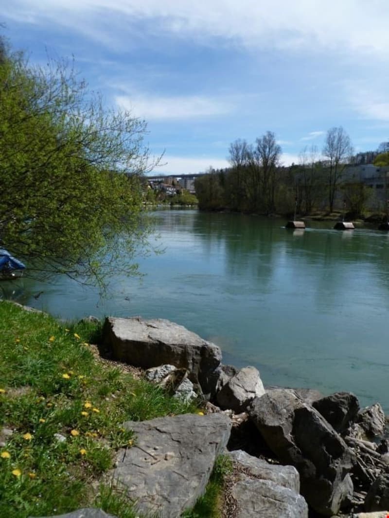 Wohnen im Grünen - Nähe Aare! (9)