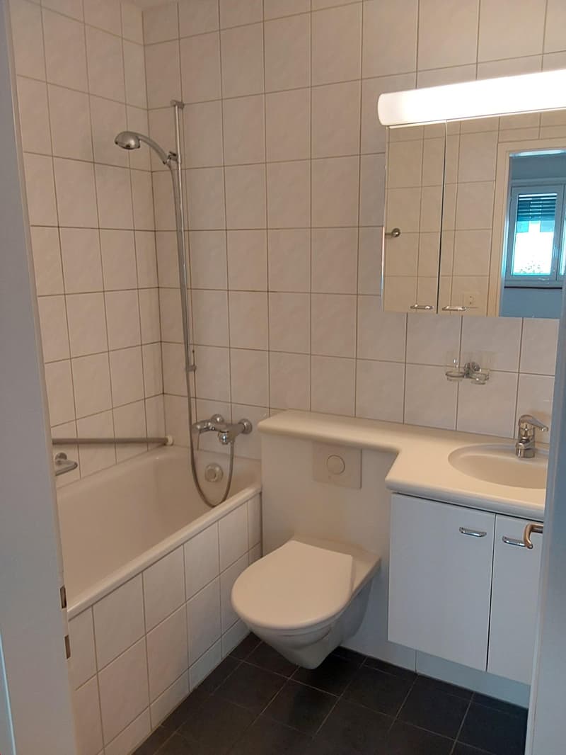 Bern - Brunnmatt, Nähe Inselspital (9)
