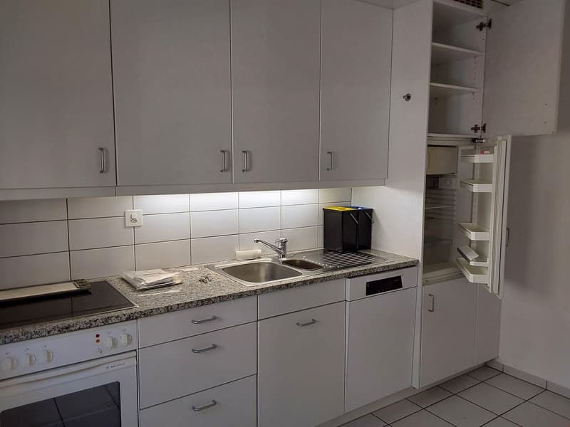Bern - Brunnmatt, Nähe Inselspital (5)