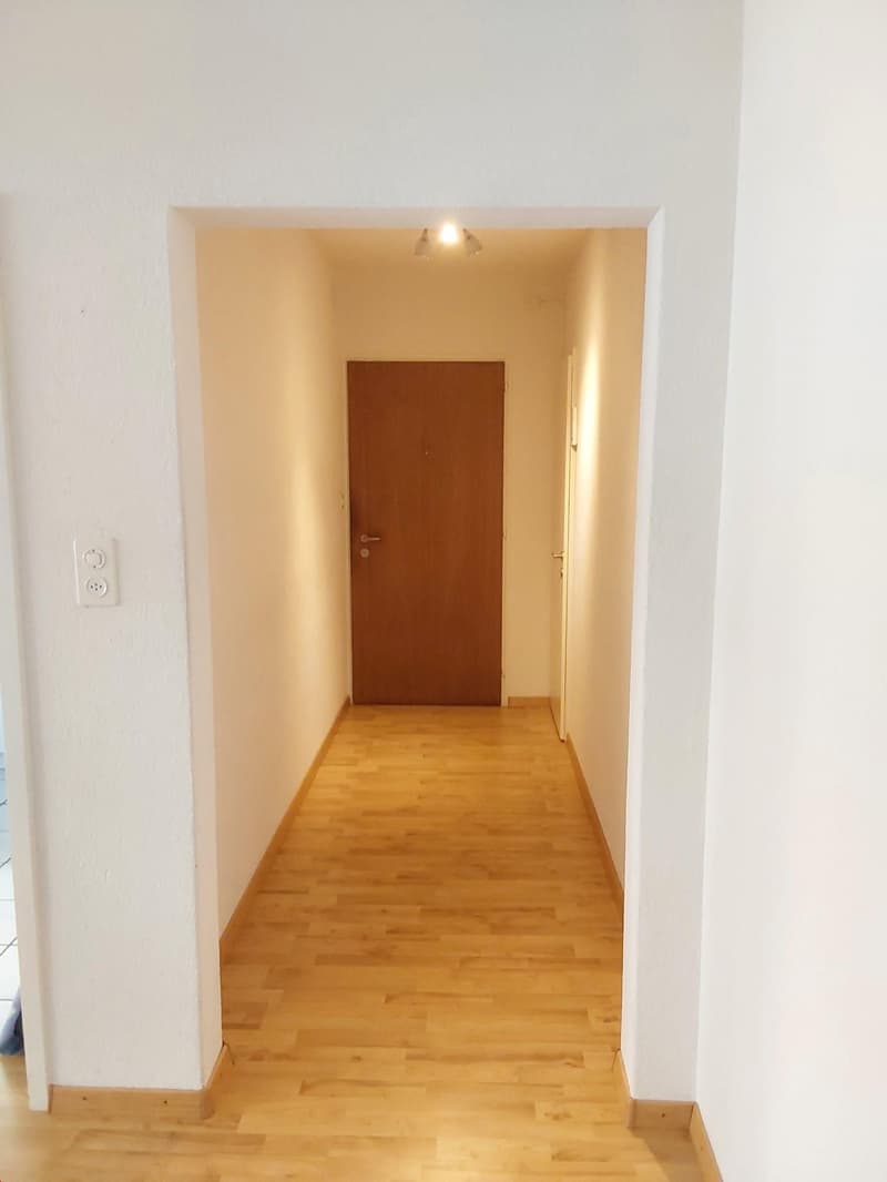 Bern - Brunnmatt, Nähe Inselspital (8)