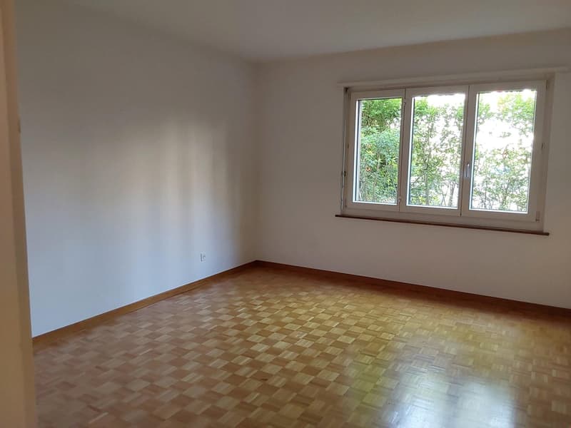 Bern - Brunnmatt, Nähe Inselspital (6)