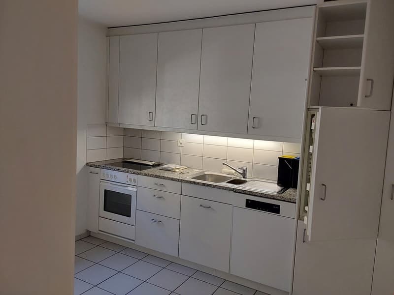 Bern - Brunnmatt, Nähe Inselspital (4)