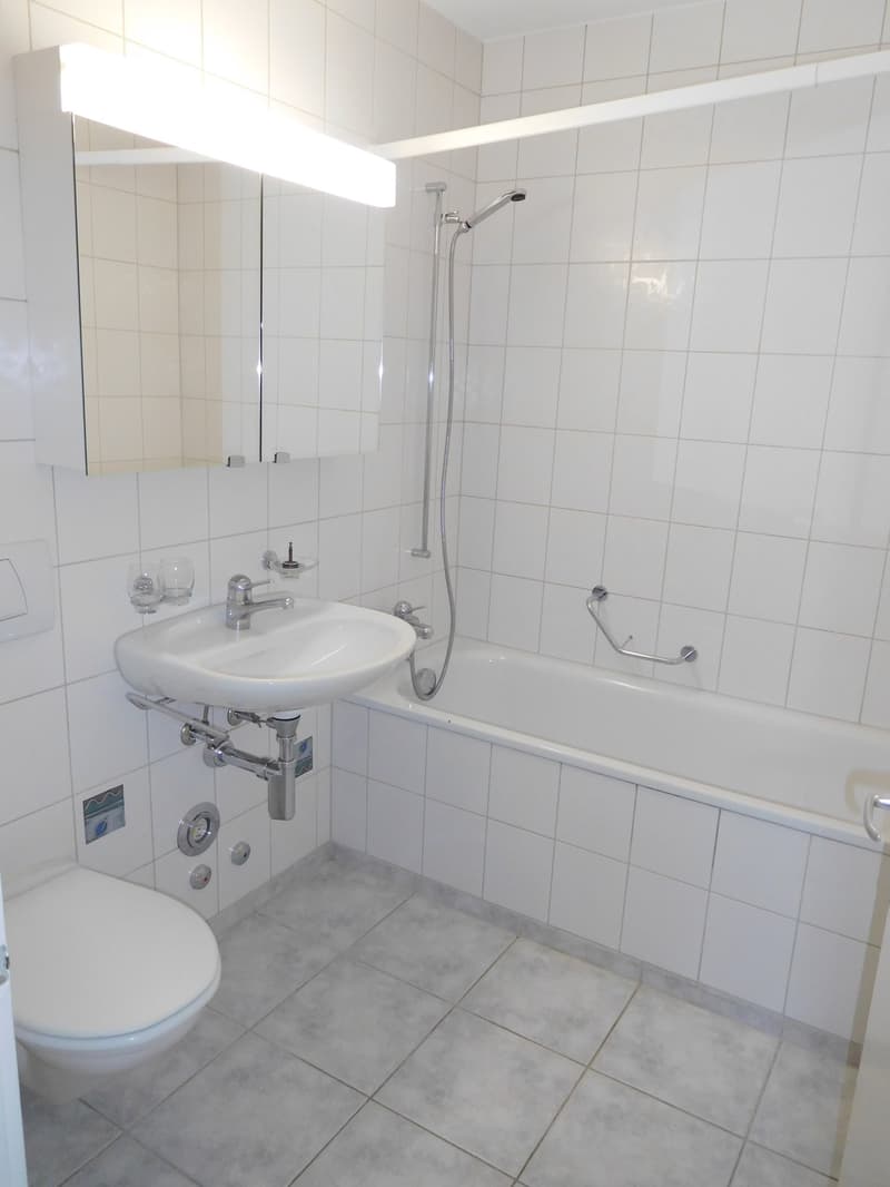 Grosszügige 2.5-Zimmerwohnung mit Weitsicht! (9)
