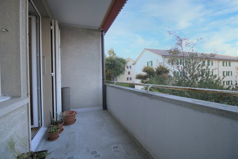 Bern-Bümpliz / grosszügige 3-Zimmerwohnung (7)