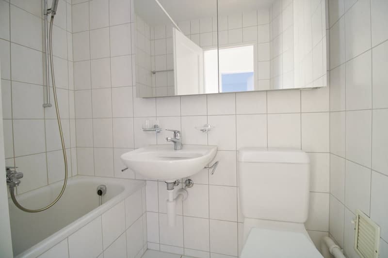 Bern-Bümpliz / grosszügige 3-Zimmerwohnung (3)