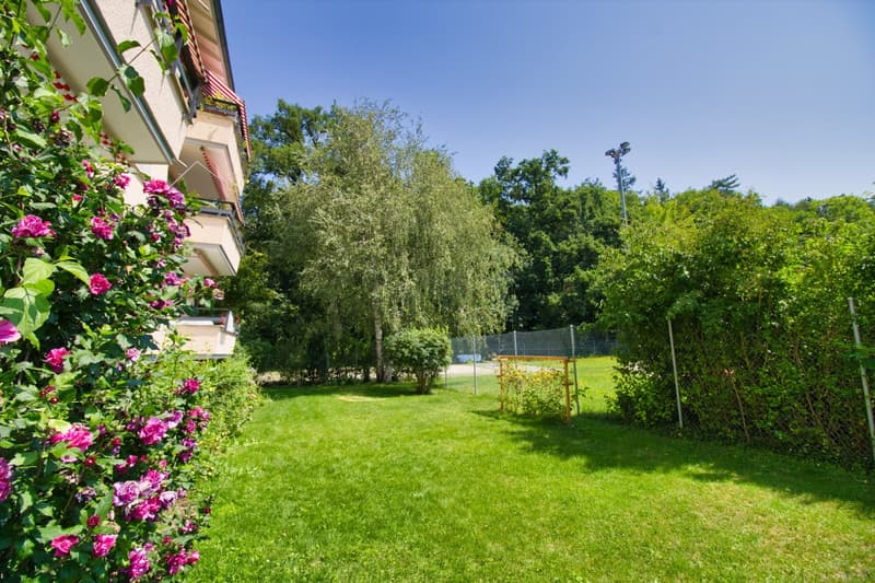 Natur und Zentrum in Einem (10)