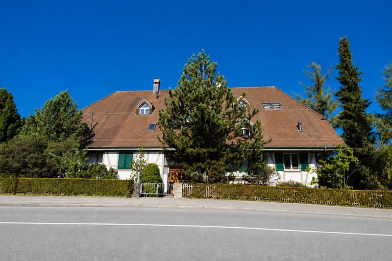 Hochwertige, topmoderne Wohnung im traditionsreichen Landhaus Dennigkofen (18)
