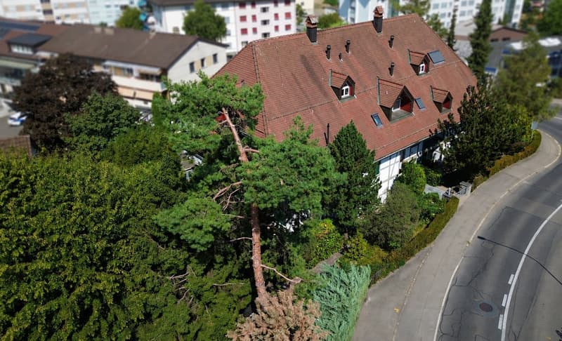 Hochwertige, topmoderne Wohnung im traditionsreichen Landhaus Dennigkofen (19)