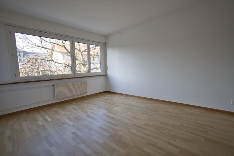 Bern-Länggasse / wunderbares Balkonparadies (4)
