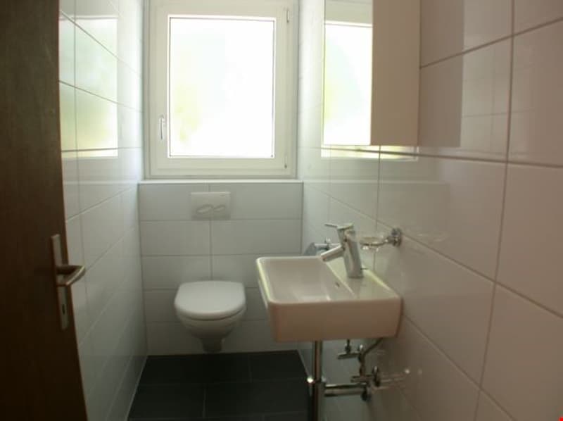 sanierte, helle Mietwohnung mit Top-Ausbau! (6)