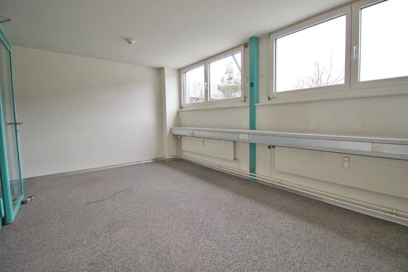 empty room, white walls, gray carpet, two windows, green door, power outlets