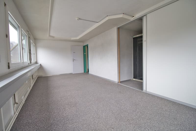 empty room, white walls, gray carpet, windows, doors, electrical outlets