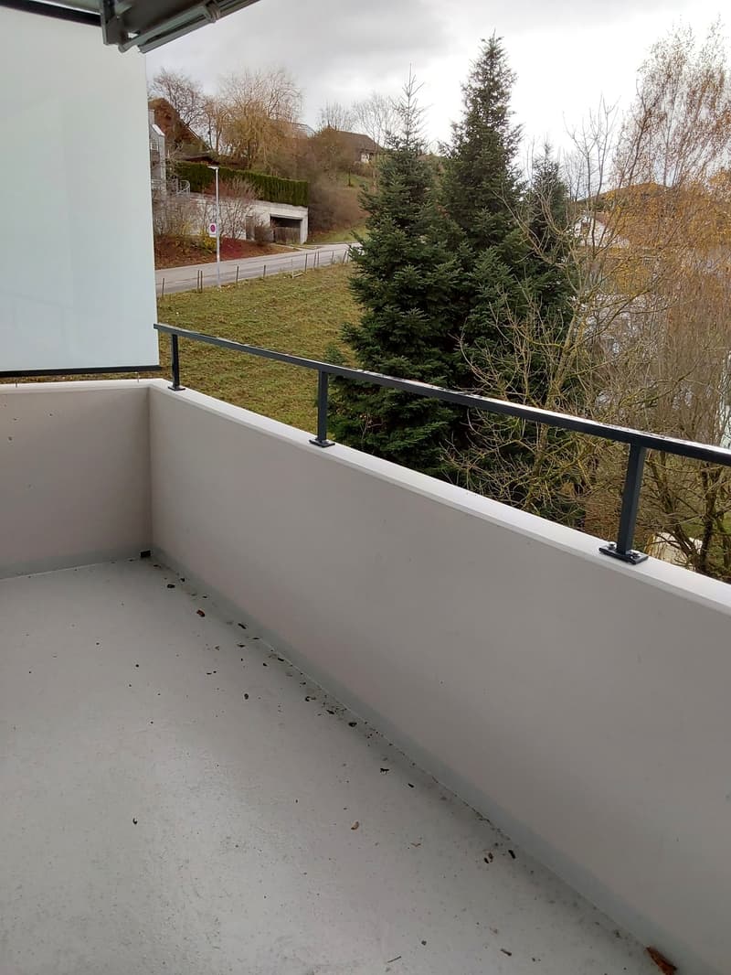 Schöne 3.5-Zimmerwohnung in Bremgarten! (3)