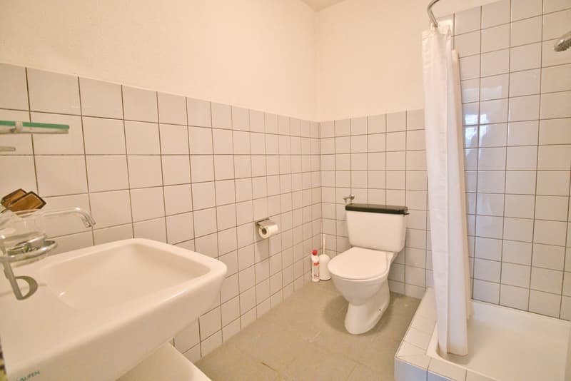 Gewerberaum in Biel-Bienne (8)