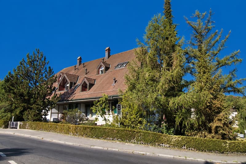Hochwertige, topmoderne Wohnung im traditionsreichen Landhaus Dennigkofen (23)