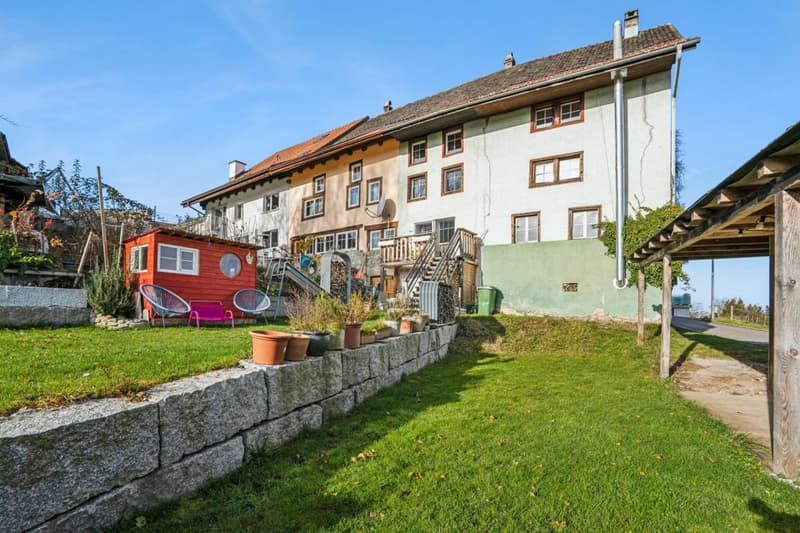 Traditionelles Flarzeckhaus in Bossikon (7)