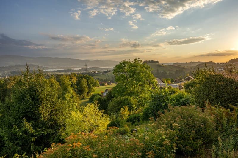 Exklusive Aussichtslage mit Weitblick über die Linthebene bis zum Zürichsee. (2)