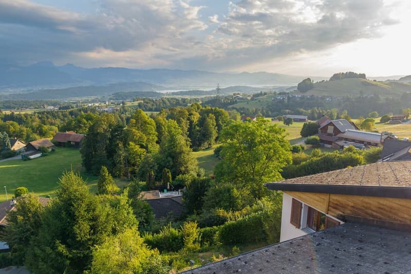 Exklusive Aussichtslage mit Weitblick über die Linthebene bis zum Zürichsee. (1)
