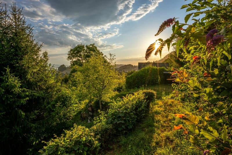 Exklusive Aussichtslage mit Weitblick über die Linthebene bis zum Zürichsee (3)