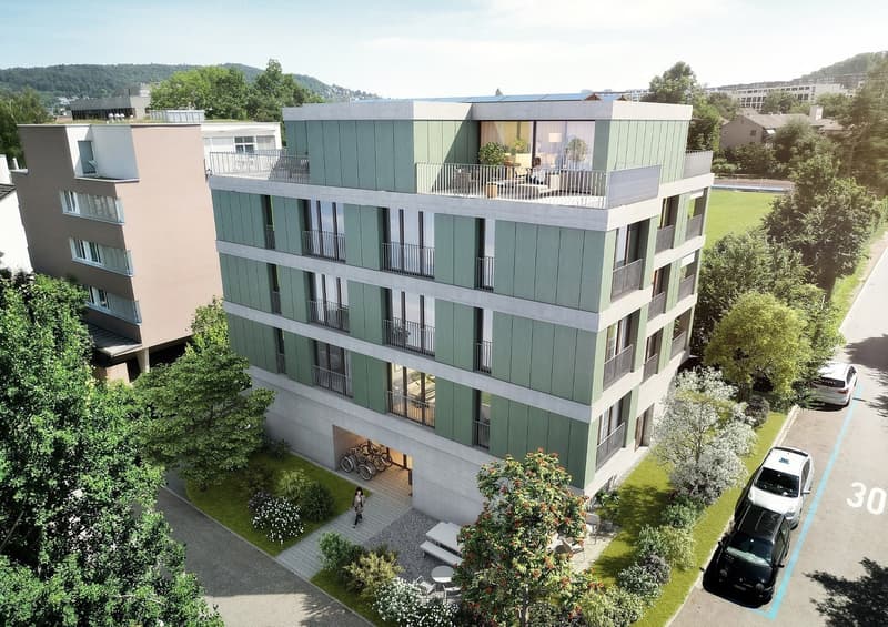Hoch über den Dächern stilvolle Attikawohnung in Zürich-Oerlikon (2)