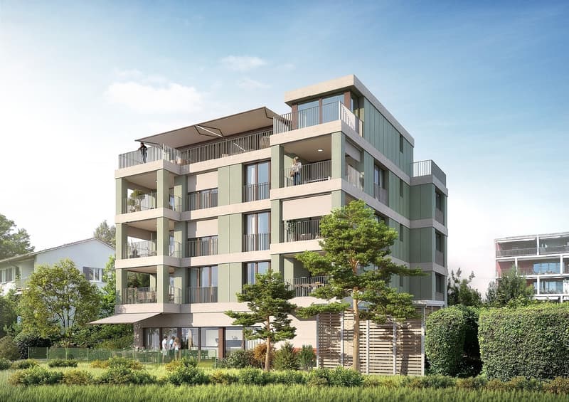 Hoch über den Dächern stilvolle Attikawohnung in Zürich-Oerlikon (2)