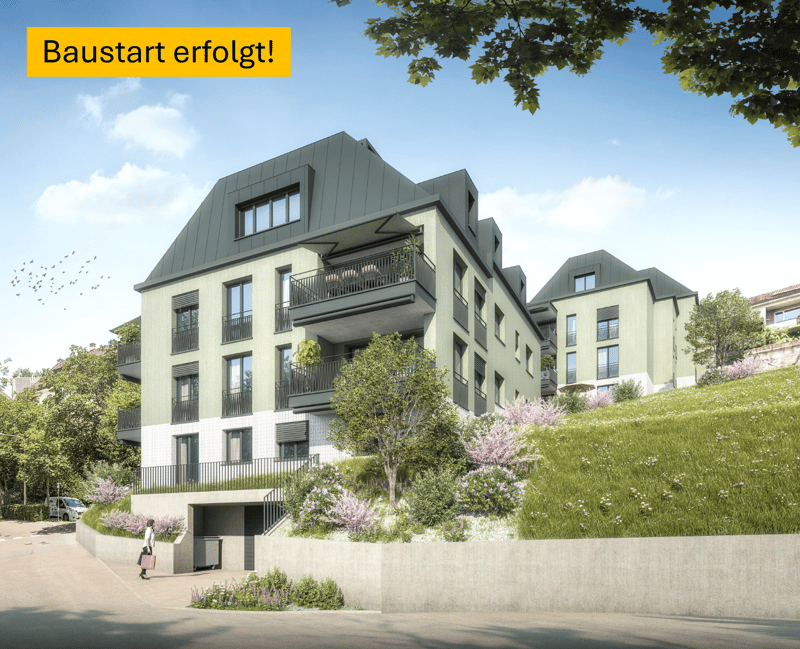 Hoch über der Limmat Exklusive Eigentumswohnungen im TOBELEGG (1)