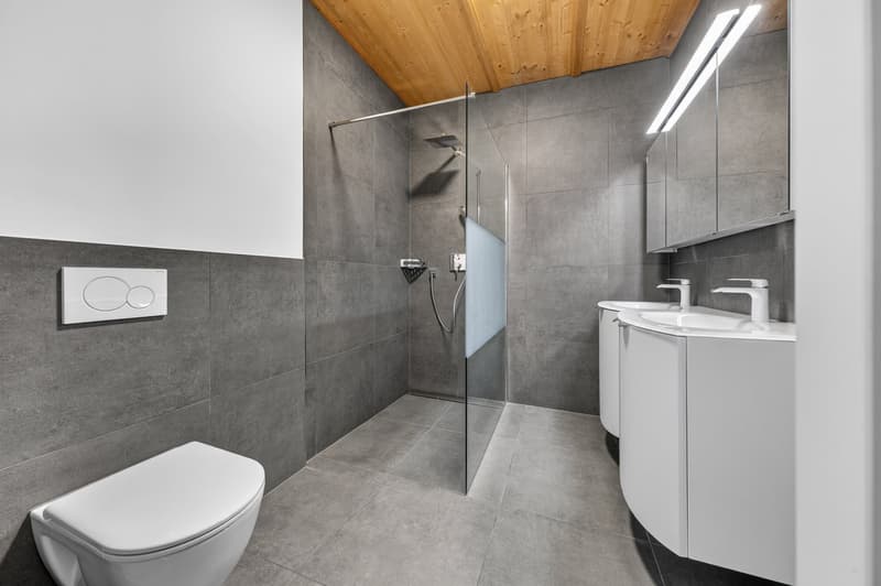modern bathroom with gray tiles, glass shower enclosure, white toilet, white sinks, wooden ceiling