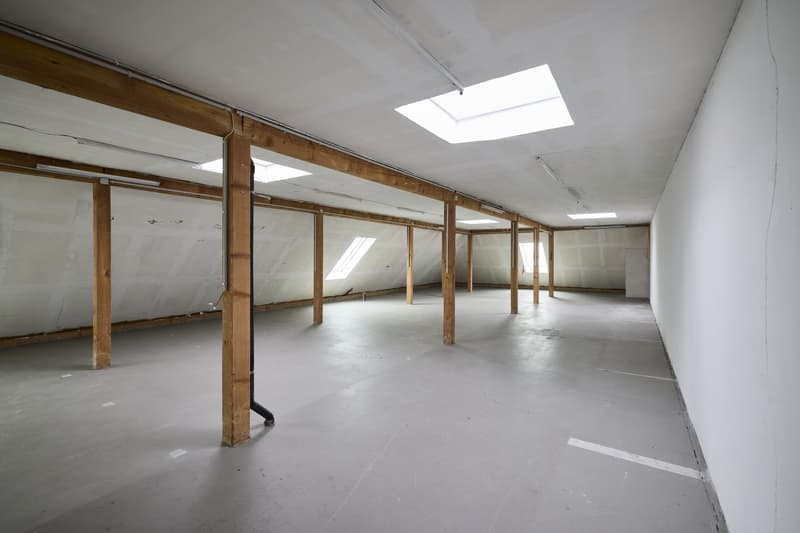 Espace commercial attractif à Dietikon (5)
