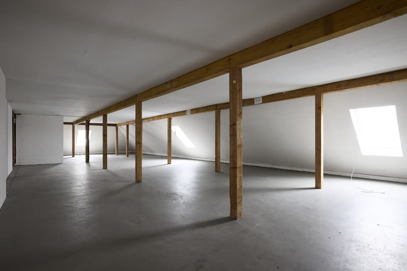 Espace commercial attractif à Dietikon (4)
