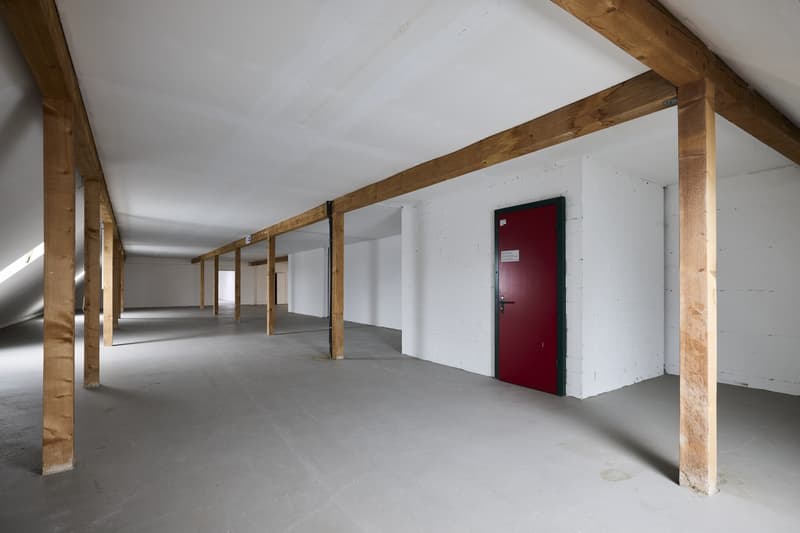 Espace commercial attractif à Dietikon (6)
