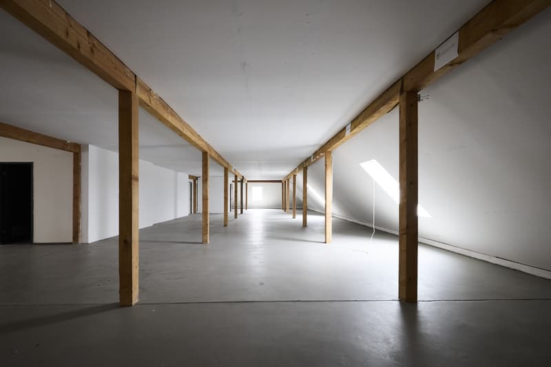 Espace commercial attractif à Dietikon (3)