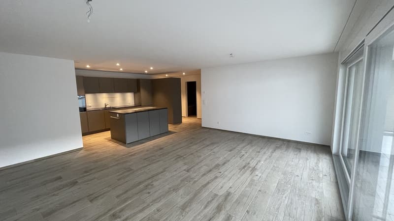 Hombergblick oder die mit den gigantischen AussenflÃ¤chen 5734 Reinach