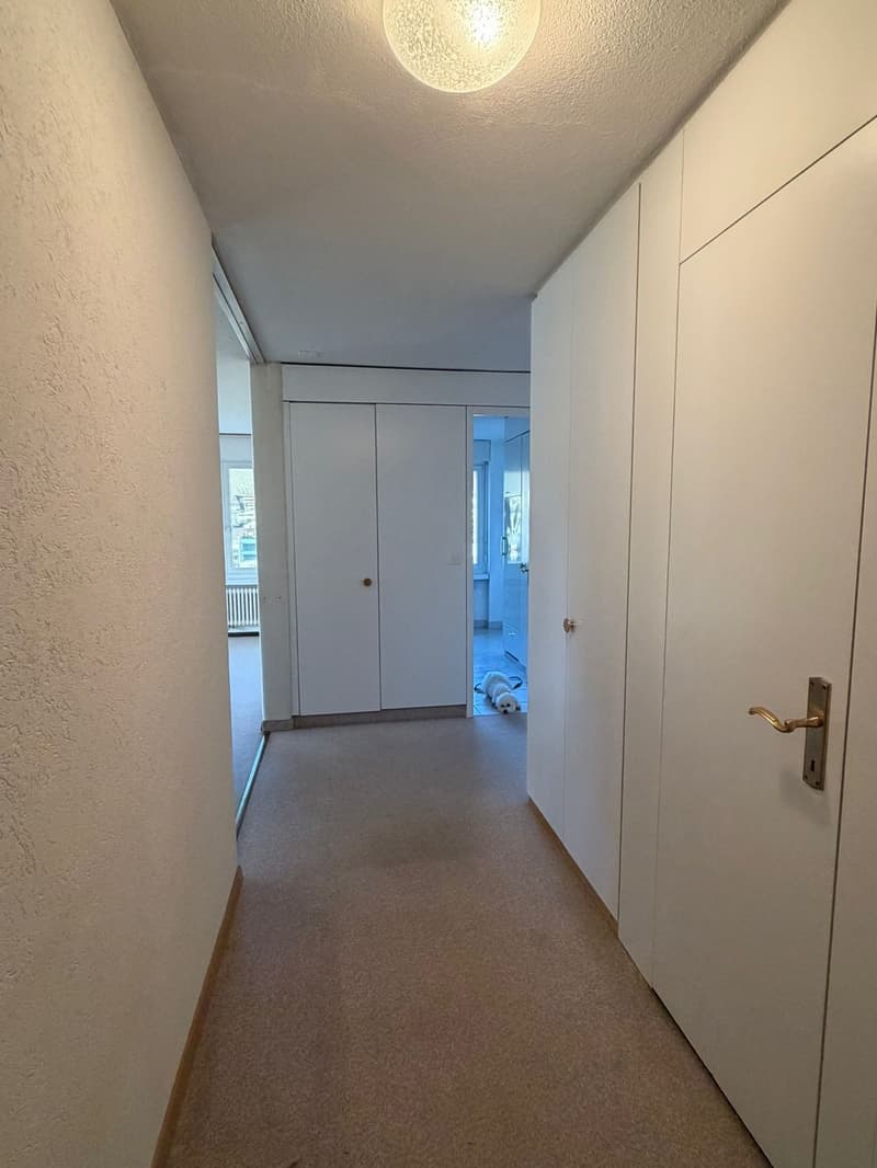 Über den Dächern im Zentrum von Wettingen (13)