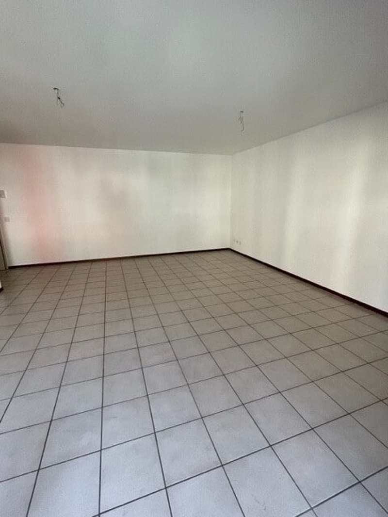 camera2.jpg