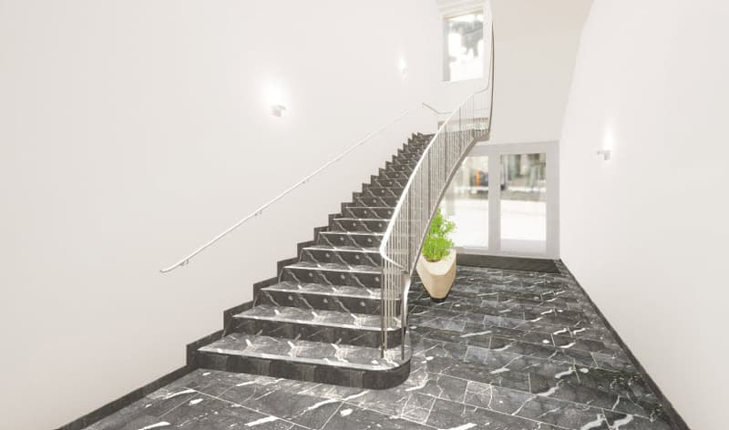 A modern interior with a black marble staircase and a silver handrail. The walls are white, and there is a large potted plant by the staircase.