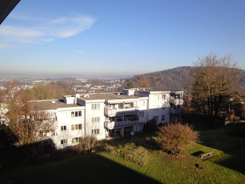 Helle 4.5-Zimmer-Wohnung mit Balkon und schöner Aussicht in Adliswil (2)