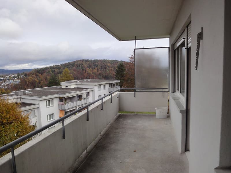 Helle 4.5-Zimmer-Wohnung mit Balkon und schöner Aussicht in Adliswil (1)