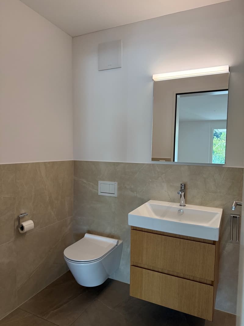 Charmante 4.5-Zimmer-Wohnung in Langnau am Albis (18)