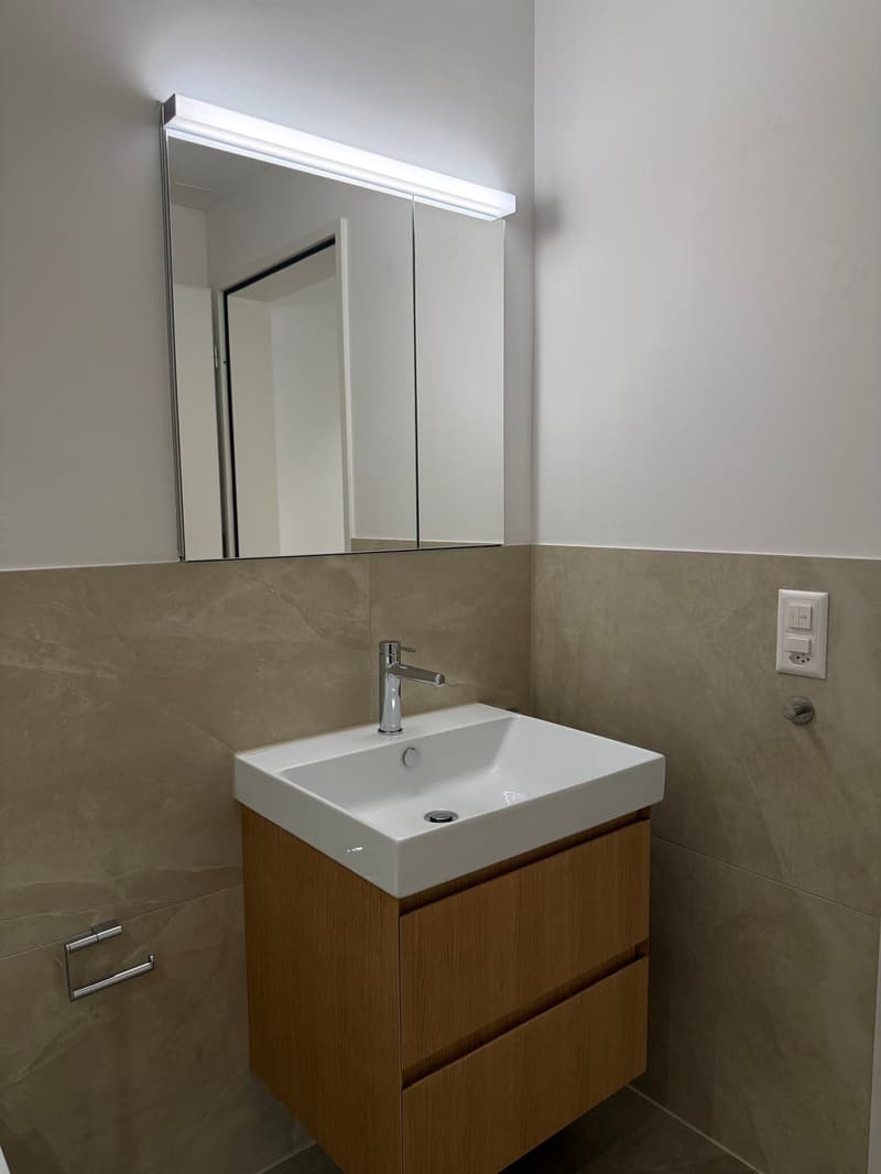 Charmante 4.5-Zimmer-Wohnung in Langnau am Albis (17)