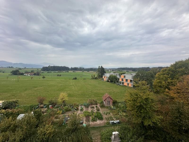 Charmante 5-Zimmer-Dachwohnung in Hausen am Albis (14)