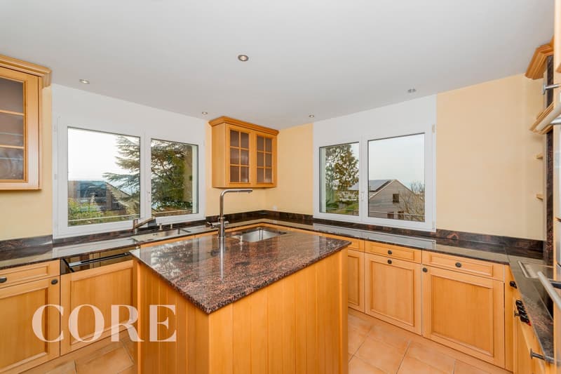 modern kitchen with granite countertops, wooden cabinets, stainless steel sink, dishwasher, large windows